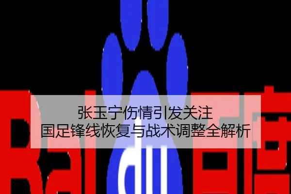 张玉宁伤情引发关注 国足锋线恢复与战术调整全解析